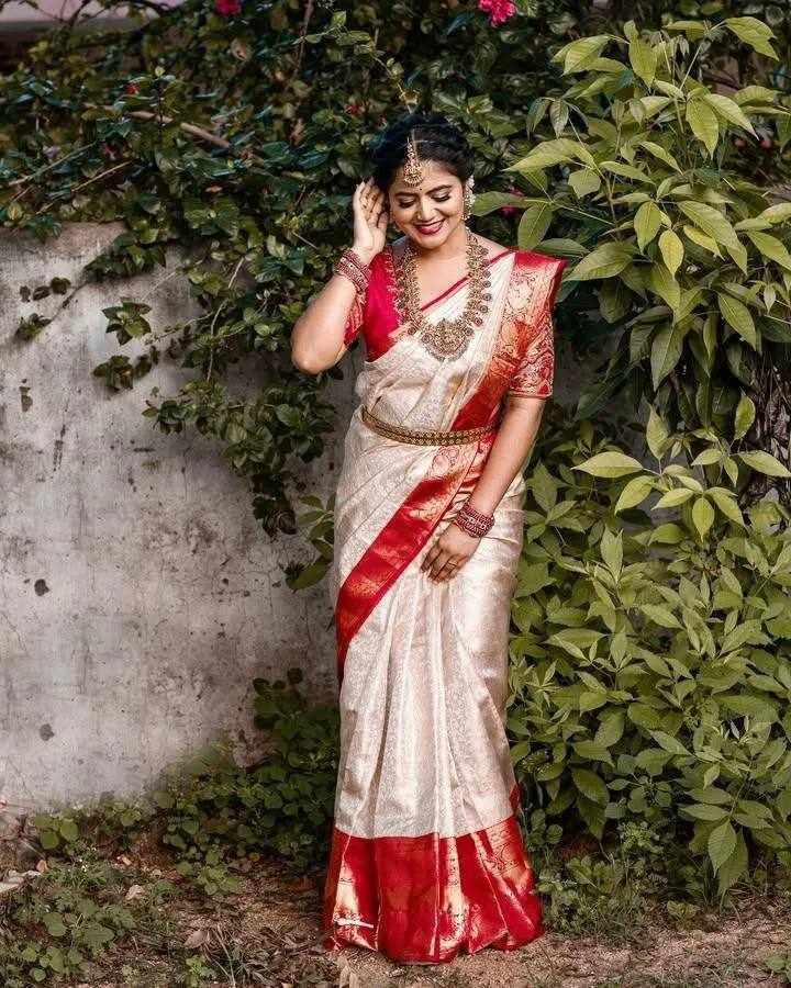 BEAUTIFUL RICH PALLU SAREE